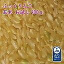 お試し玄米 北海道産 ふっくりんこ 900g 玄米 令和5年産 産地サミット品　北海道産米　メール便 送料無料