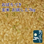 ◇ポイント20倍送料無料◇お試し玄米　北海道産 おぼろづき 玄米　2.7kg　令和5年産　一等米　低アミロース米　レターパックプラス便 送料無料