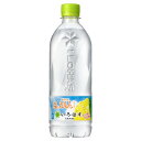 【期間限定】いろはす 塩とれもん 540mlPET×24本×2箱 い・ろ・は・す コカ・コーラ【メーカー直送】