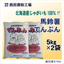 北海道産 ばれいしょ でんぷん （5kg×2） 片栗粉 馬鈴薯 澱粉