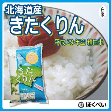 きたくりん 20kg (5kg×4袋) 北海道米 29年産 【真空パック対応】