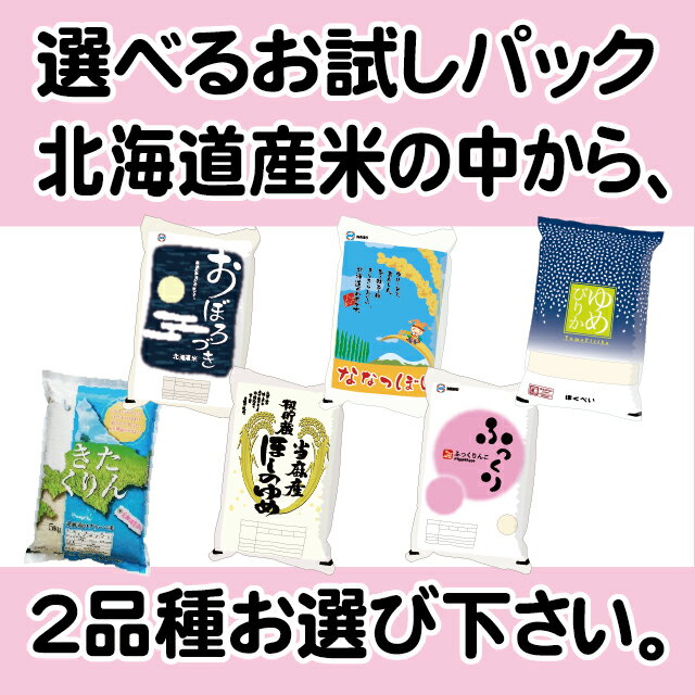 令和5年産 お試し お米