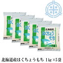 餅米 はくちょうもち　北海道産 もち米 5kg（1kg×5袋入）令和5年産 糯米 5kg 送料無料 糯米
