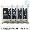 令和5年産 北海道産 おぼろづき 20kg 送料無料（5kg×4袋）北海道米 白米 精米 低アミロース米 真空パック対応