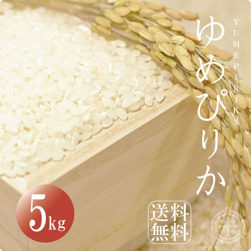 楽天市場】北海道 米 5kg 送料無料の通販 楽天市場】北海道 米 5kg 送料無料の通販