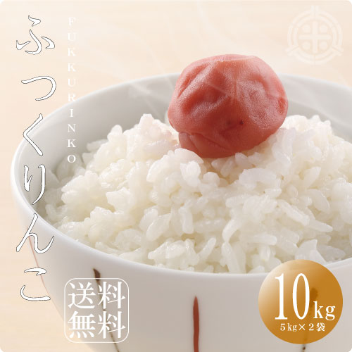 北海道産ふっくりんこ　10kg　(5kg×2袋)　北海道米　令和4年産　送料無料　えぶりでぃろーぷライス！