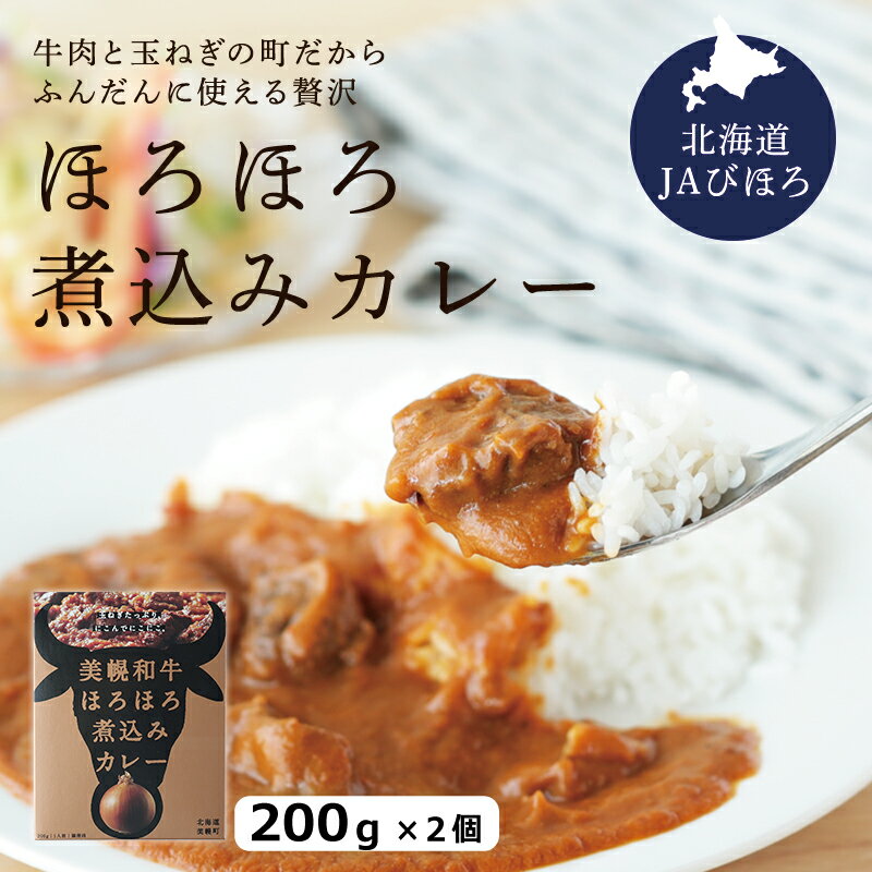 美幌和牛 ほろほろ煮込みカレー 1食(200g)×2個 北海道 美幌産 和牛 & たまねぎ使用 JAびほろ レトルト カレー メール便 送料無料