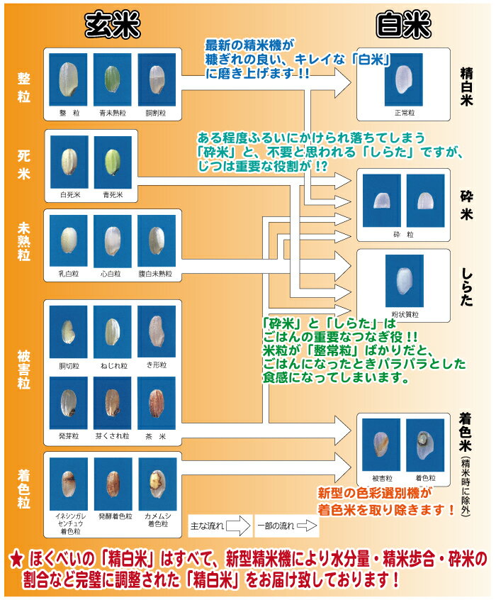 きたくりん 10kg (5kg×2袋) 29年産 北海道米 【楽ギフ_のし】 【楽ギフ_のし宛書】 【真空パック対応】