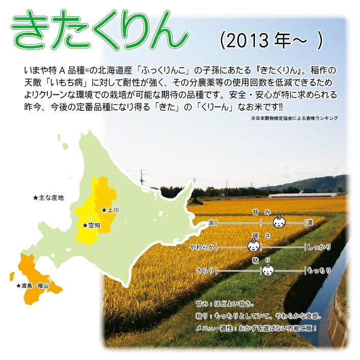 令和3年産　きたくりん　5kg　北海道米　真空パック対応　送料無料 【楽ギフ_のし】 【楽ギフ_のし宛書】