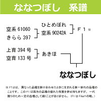 新米ななつぼし10kg(5Kg×2袋)北海道米令和元年産産地限定真空パック対応【楽ギフ_のし】【楽ギフ_のし宛書】
