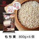 送料無料 はくばく もち麦ごはん　800g×6個 1箱 大麦