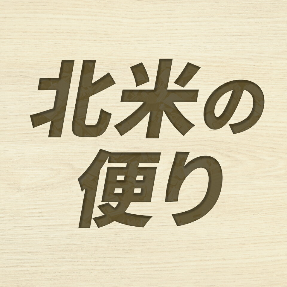 北米の便り
