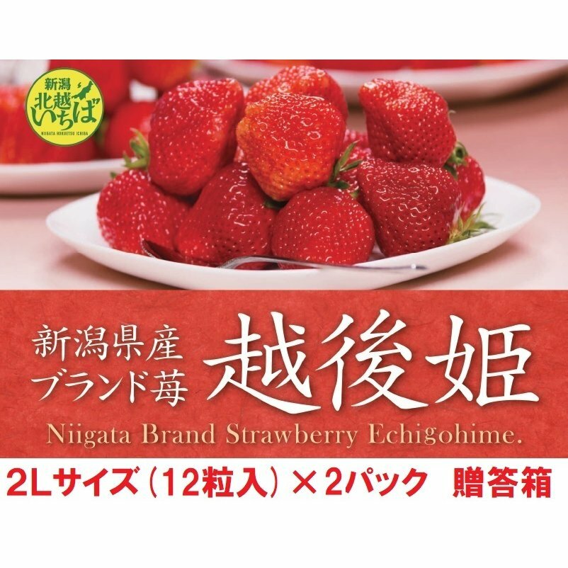 【送料無料】のし対応 ギフト　越後姫いちご 新潟県産 2Lサイズ(12粒)×2パック 贈答箱 イチゴ 果物 贈り物 お祝い 苺 母の日 ギフト プレゼント 御祝い 産直 えちごひめ 高級 農家直送のサムネイル