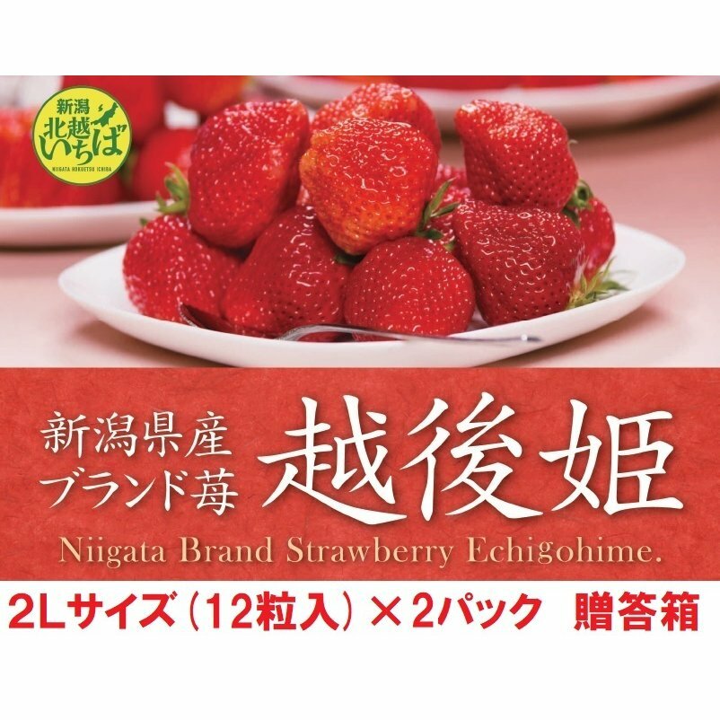 いちご 【送料無料】のし対応 ギフト　越後姫いちご 新潟県産 2Lサイズ(12粒)×2パック 贈答箱 イチゴ 果物 贈り物 お祝い 苺 母の日 ギフト プレゼント 御祝い 産直 えちごひめ 高級 農家直送