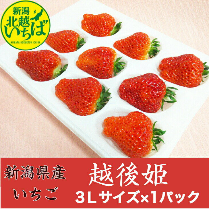 【送料無料】のし対応 ギフト 越後姫いちご 新潟県産 3Lサイズ9粒×1パック 大粒 イチゴ 苺 母の日 プレゼント 御祝い 産直 えちごひめ スイーツ お祝