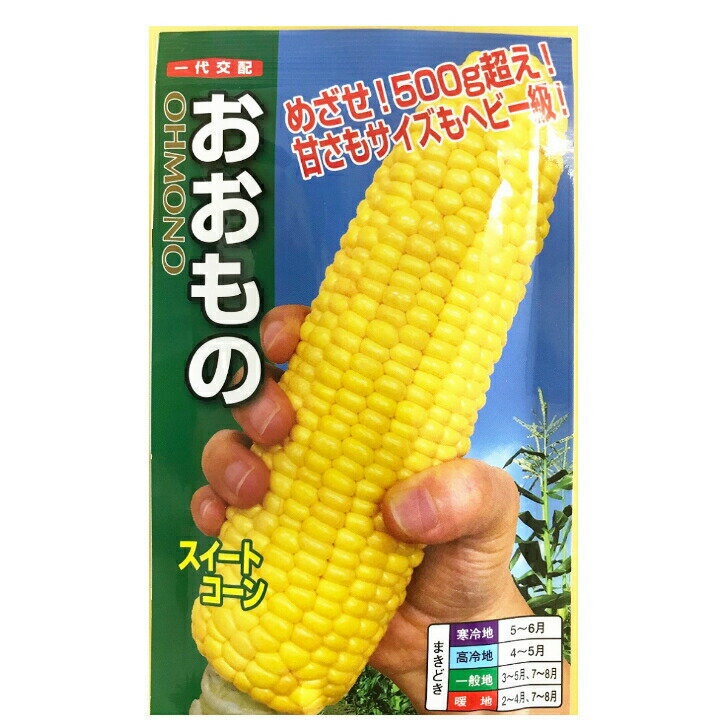 【エントリーでP5倍】ナント種苗 スイートコーン おおもの 60粒 タネ 実物 種子 とうもろこし トウモロコシのサムネイル
