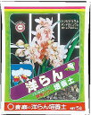 培養土 洋らん培養土 東商 10L 洋蘭 洋ラン ヨウラン 培土 酵素