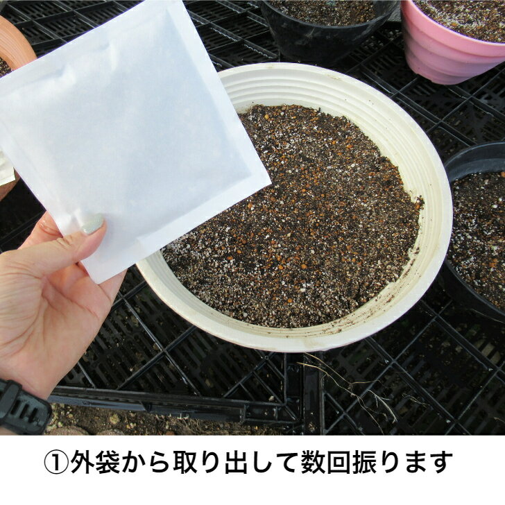送料無料ネモフィラ簡単パック水をやるだけかんたん花が咲くガーデニング青い花春秋花のタネ水をやるだけ