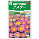 サカタのタネ　アスター　松本ピンク　約190粒　実咲花タネ