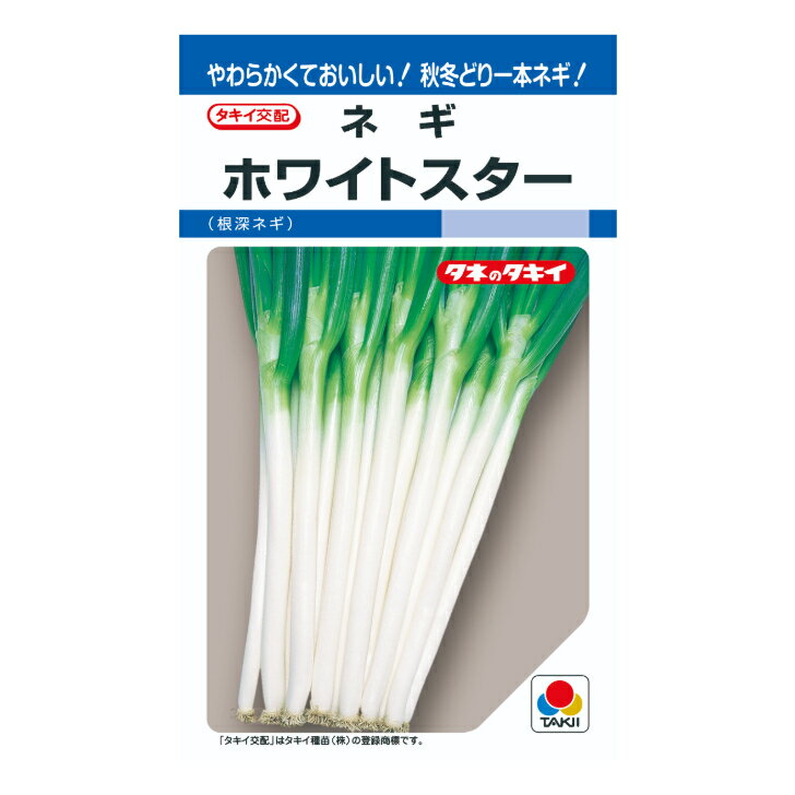 タキイ交配 ネギ ホワイトスター DF8ml 野菜種子