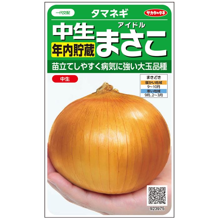 サカタのタネ 中生タマネギ アイドルまさこ 約300粒 実咲野菜タネ 葉菜 種子 玉ねぎ 玉葱 玉ネギ