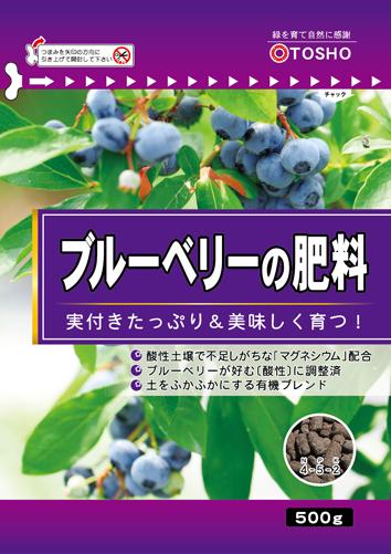 ������̵�����쾦 �֥롼�٥꡼������ 500g