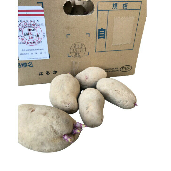 北海道産種じゃがいも 種芋 男爵 10kg : 農業資材専門店 農援