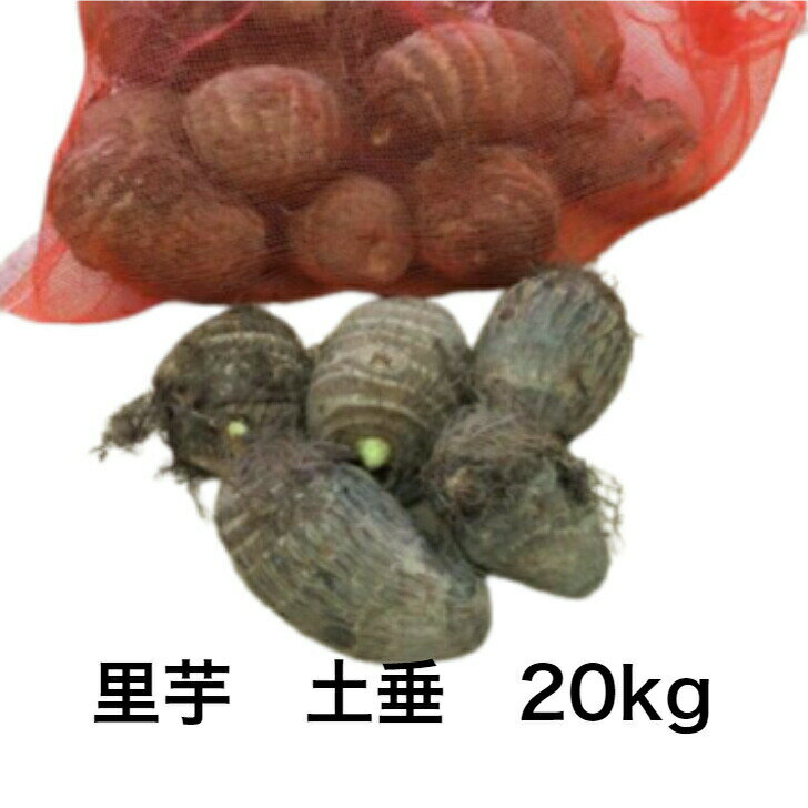 楽天市場】土垂 種芋の通販