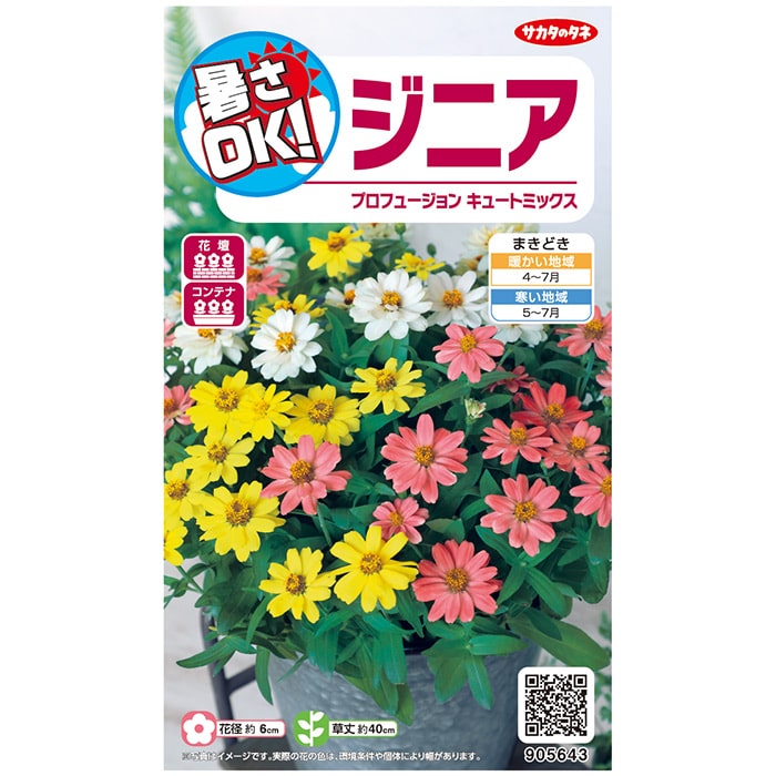 サカタのタネ ジニア プロフュージョン キュートミックス 0.3ml 約15粒 実咲 花タネ サカタのタネ 種子 ヒャクニチソウ
