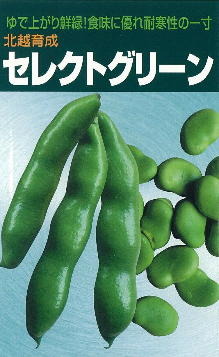 Rakuten - 北越育成 ソラマメ セレクトグリーン 1dl 野菜タネ 北越農事 野菜種子 野菜タネ エダマメ