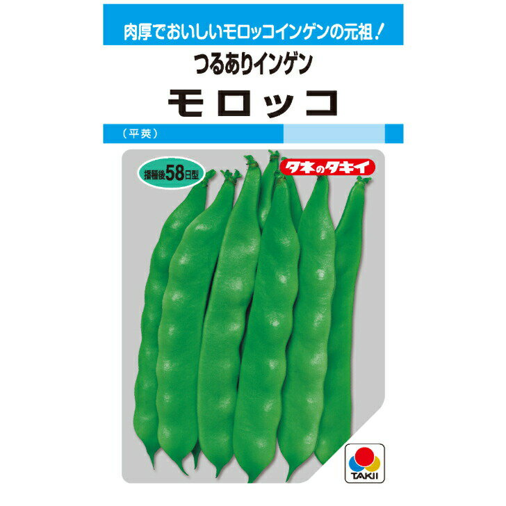 タキイ交配 つるありインゲン モロッコ MF27ml 野菜種子 菜豆 インゲンのサムネイル