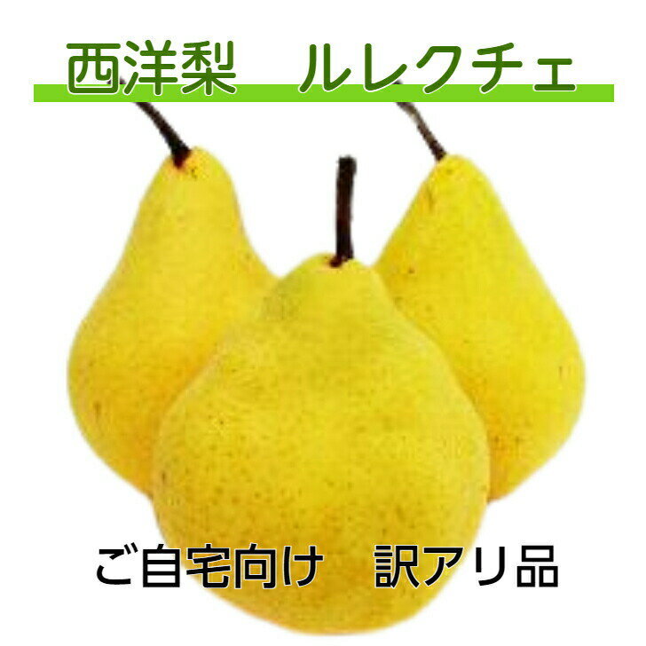 送料無料 ご自宅向け 西洋梨 ル・レクチェ 2kg〜4kg