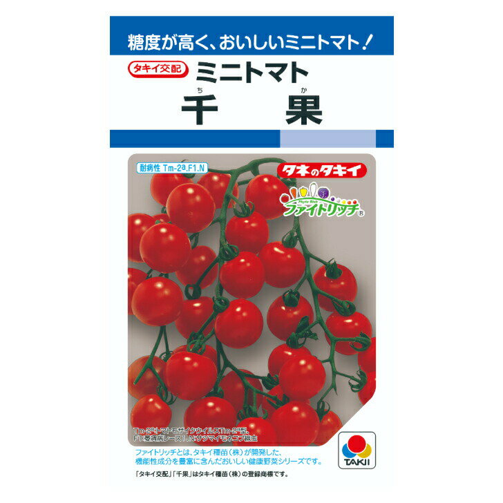 Rakuten - タキイ交配 千果 ミニトマト DF16粒 野菜のタネ