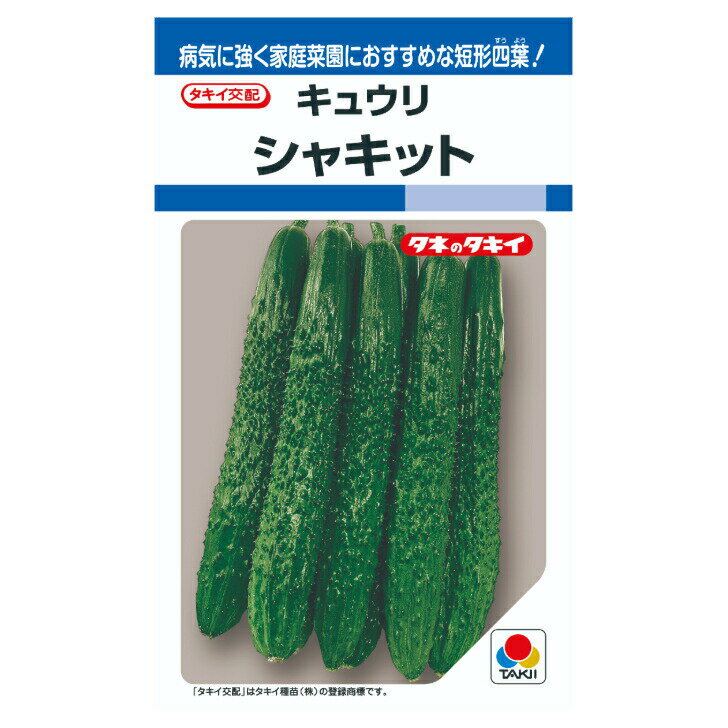 Rakuten - タキイ交配 シャキット 胡瓜 DF15粒 野菜のタネ キュウリ