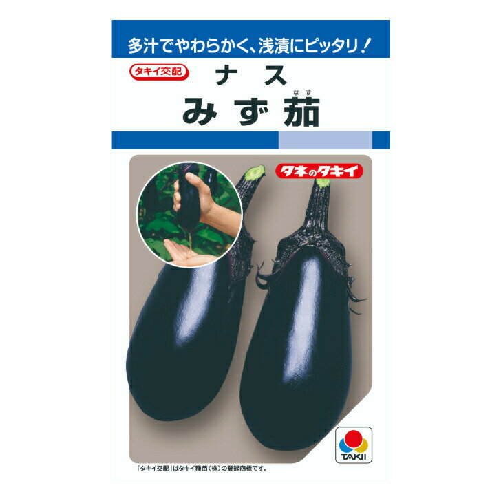 Rakuten - タキイ交配 みず茄子 DF50粒 野菜のタネ ナス