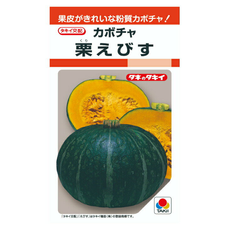 タキイ交配 栗えびす 南瓜 RF13粒 野菜のタネ カボチャ