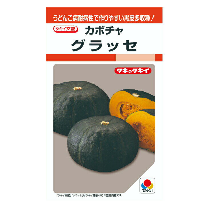 Rakuten - タキイ交配 カボチャ グラッセ RF9粒 野菜のタネ 南瓜