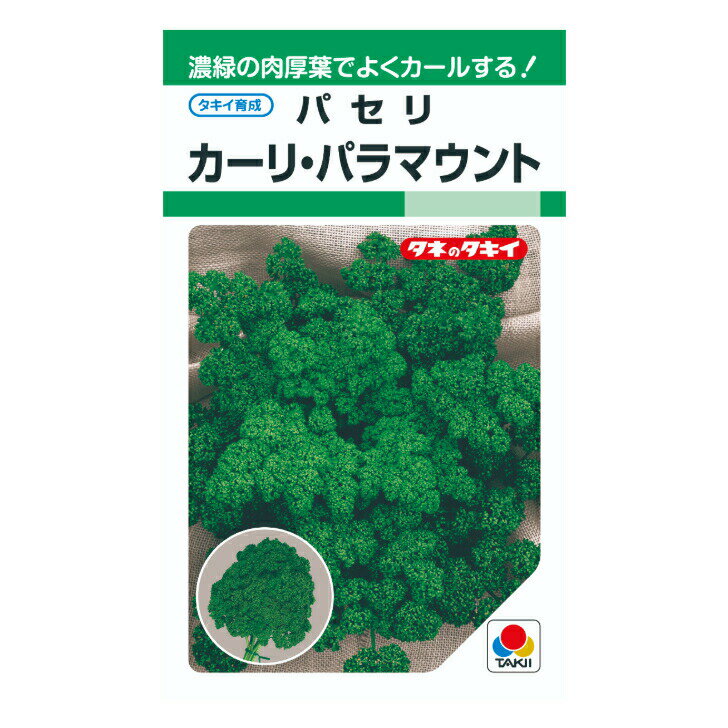 タキイ種苗 カーリ・パラマウント パセリ GF2.2ml 野菜のタネ