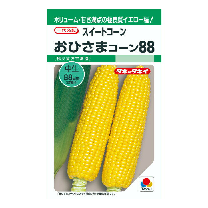 タキイ種苗 スイートコーン おひさまコーン88 GF40粒 野菜のタネ