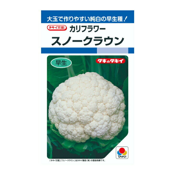 Rakuten - タキイ交配 カリフラワー スノークラウン 花椰菜 DF1.3ml 野菜のタネ