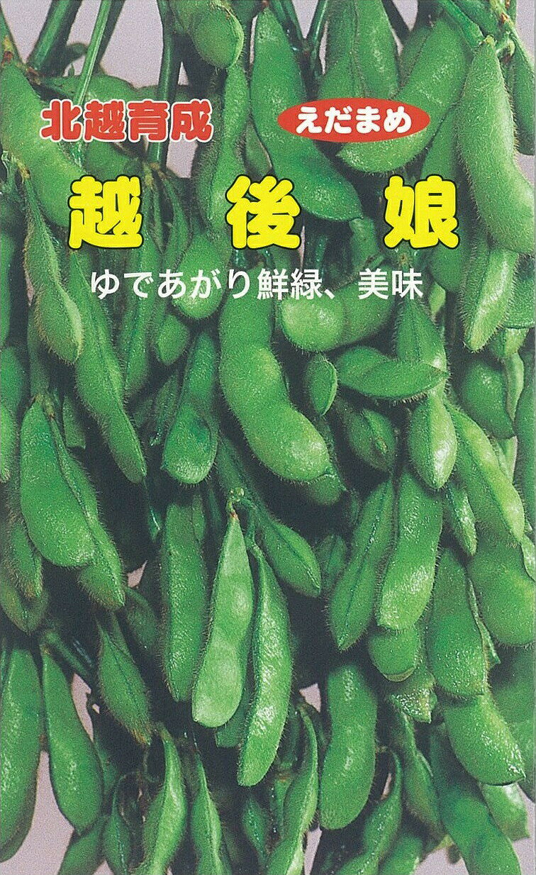 商品情報容量30ml　配送方法郵便となります納期日時指定、到着時間指定できません北越交配 枝豆 越後娘 40ml　野菜タネ 北越農事 野菜種子 野菜のタネ エダマメ 甘味・香りにすぐれた中晩生 容量：30ml■品種特性1、3粒莢(サヤ)の多い大莢豊産品種。草姿はやや開帳で草丈は約60cmとなります。2、ゆであがりは濃緑色となり、甘味・香りと共に優れ、おいしいです。3、中晩生品種で在来の"一人娘"より収穫が約1週間早いです。4、冷・解凍しても甘味、香り、濃緑色の莢色は損なわれないので、冷凍用として適しています。■栽培ポイント・平坦地での播種適期は6月20日前後で、9月下旬から10月上旬の収穫となります。早蒔きは従長するので適期に蒔いてください。発送方法：指定できません送料について・1回のご注文につき送料一律170円・野菜の種の送料は合計10袋以上のご注文で送料無料・代金引換不可・他商品(野菜の種以外)と同時にご注文の場合は、種、その他商品それぞれに送料がかかることがあります※商品画像はイメージです 11