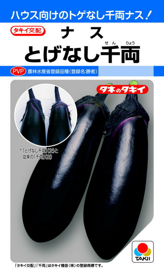 Rakuten - タキイ交配 とげなし千両二号 茄子 DF35粒 野菜のタネ ナス