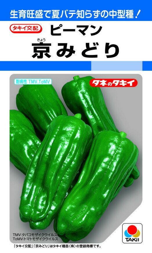 タキイ交配 京みどり ピーマン DF65粒 野菜のタネ 生育旺盛 ・果重は30g程度で、袋詰め出荷に適する中型ピーマン・色つや良好で盛夏でも色あせしにくく、低温期にも黒アザ果がほとんど出ない。果肉はやや薄めで、やわらかく、高温期でもかたくな...