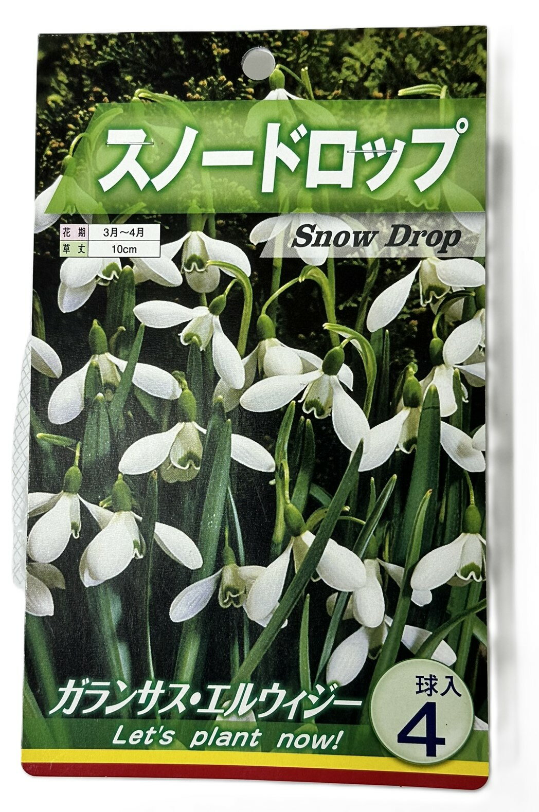 ̱ŷԾŹ㤨̵ 庬 Ρɥå 4פβǤʤ920ߤˤʤޤ