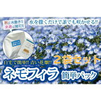送料無料 ネモフィラ 簡単パック 2袋セット 水をやるだけ かんたん 花が咲く ガーデニング 青い花