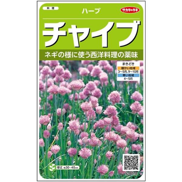 ハーブ種子　チャイブ　0.9ml　実咲野菜