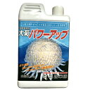 国華園 大菊パワーアップ 1kg 微量要