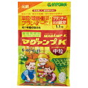 肥料 ハイポネックス マグアンプK 中粒 1.1kgガーデニング 園芸 マグァンプ 土に混ぜ込む緩効性肥料 特長様々な植物の植えつけ、植え替え時に土に混ぜ込むだけで植物の生育を促進します。リンサン（P）成分の働きで、花、実つきをよくすることはもちろんのこと、植えつけ、植え替え時の根の伸長を促進する効果 もあります。直接根にふれても安全性が高くイヤな虫もつきにくく、臭いも少なく清潔です。使用方法●植え付け、植え替え時に土に混ぜ込んでください。●置肥(土に混ぜ込まず、土の上に置く)として使用する場合は、植え付け、植え替え3〜4週間後に与えます。●ラン類への使用は土に混ぜ込まず置肥として使用します。●追肥として液肥のハイポネックスをお使いいただくとさらに効果的です。N-P-K-Mg＝6-40-6-15　マグネシウム配合 11