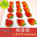 いちご 【送料無料】 のし対応 ギフト 越後姫いちご 新潟県産 Lサイズ15粒×2パック 白箱 イチゴ 果物 ご自宅用 プレゼント 贈り物 自宅用 苺 贈答 スイーツ 御祝い 産直 えちごひめ