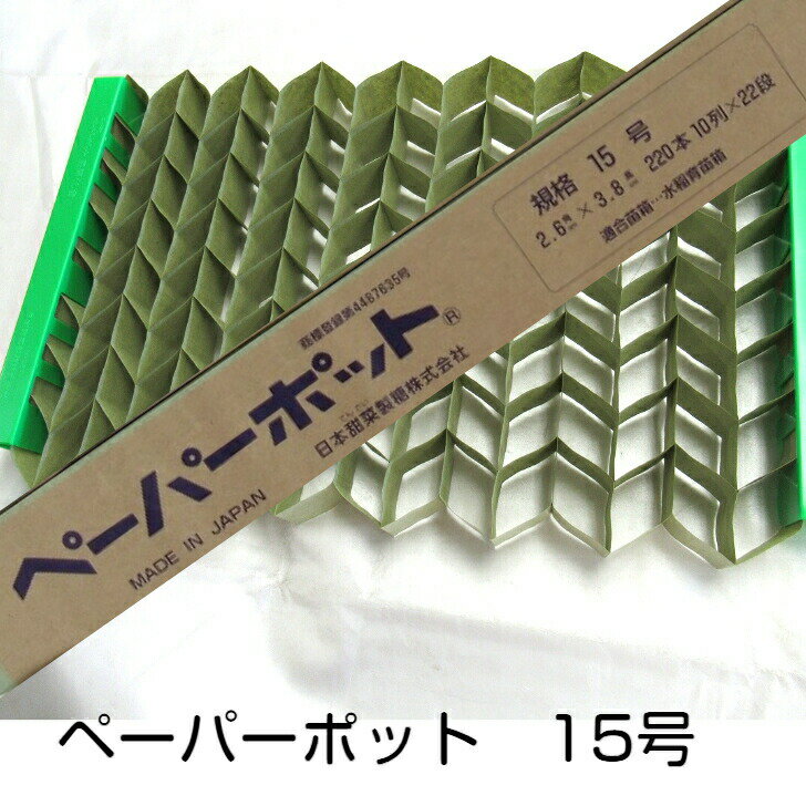 ニッテン ペーパーポット 15号 2.6角×3.8 220穴 日本甜菜製糖 育苗